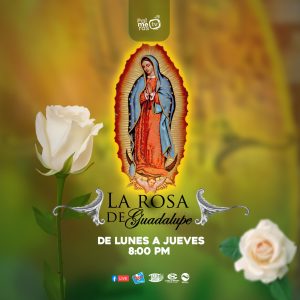 LA ROSA DE GUADALUPE