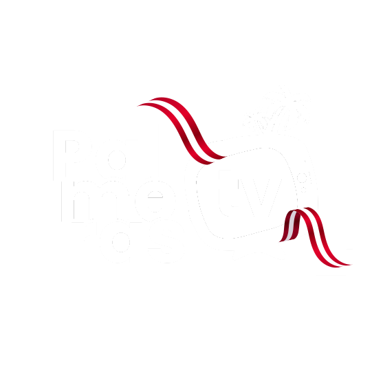 Palmeras Televisión