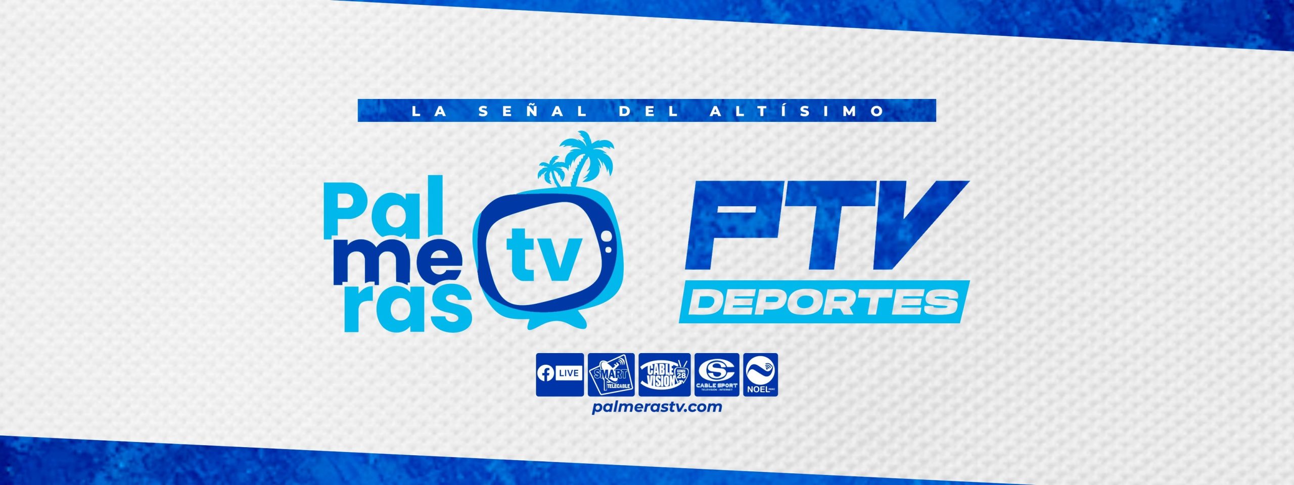 PORTADA PTV PALMERAS